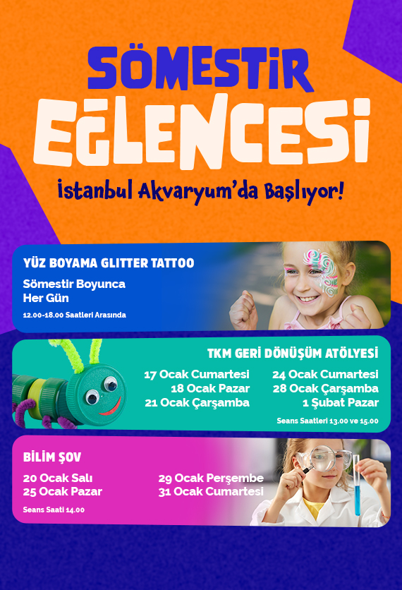 İstanbul Akvaryum Slider