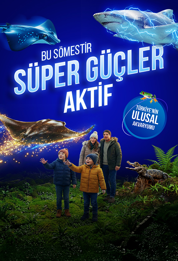 İstanbul Akvaryum Slider