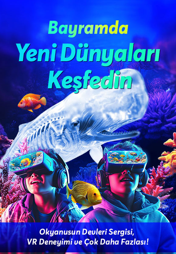 İstanbul Akvaryum Slider