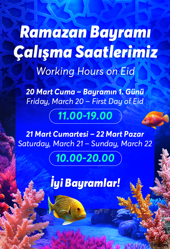 İstanbul Akvaryum Slider