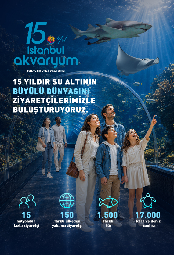 İstanbul Akvaryum Slider