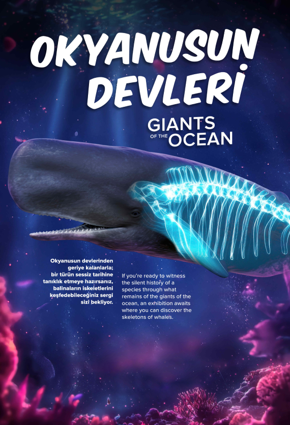 İstanbul Akvaryum Slider