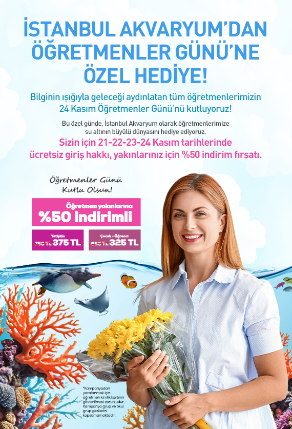 İstanbul Akvaryum Slider