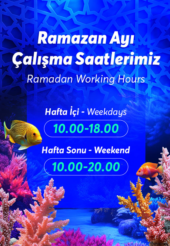 İstanbul Akvaryum Slider