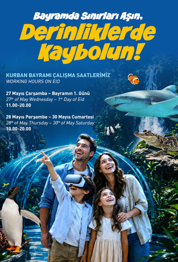İstanbul Akvaryum Slider
