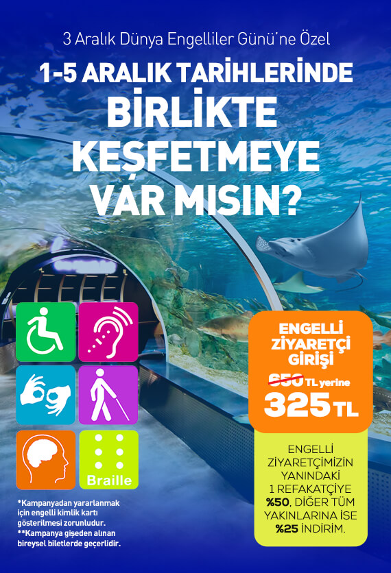 İstanbul Akvaryum Slider