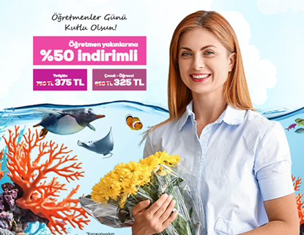 İstanbul Akvaryum’dan Öğretmenler Günü’ne Özel Hediye! 