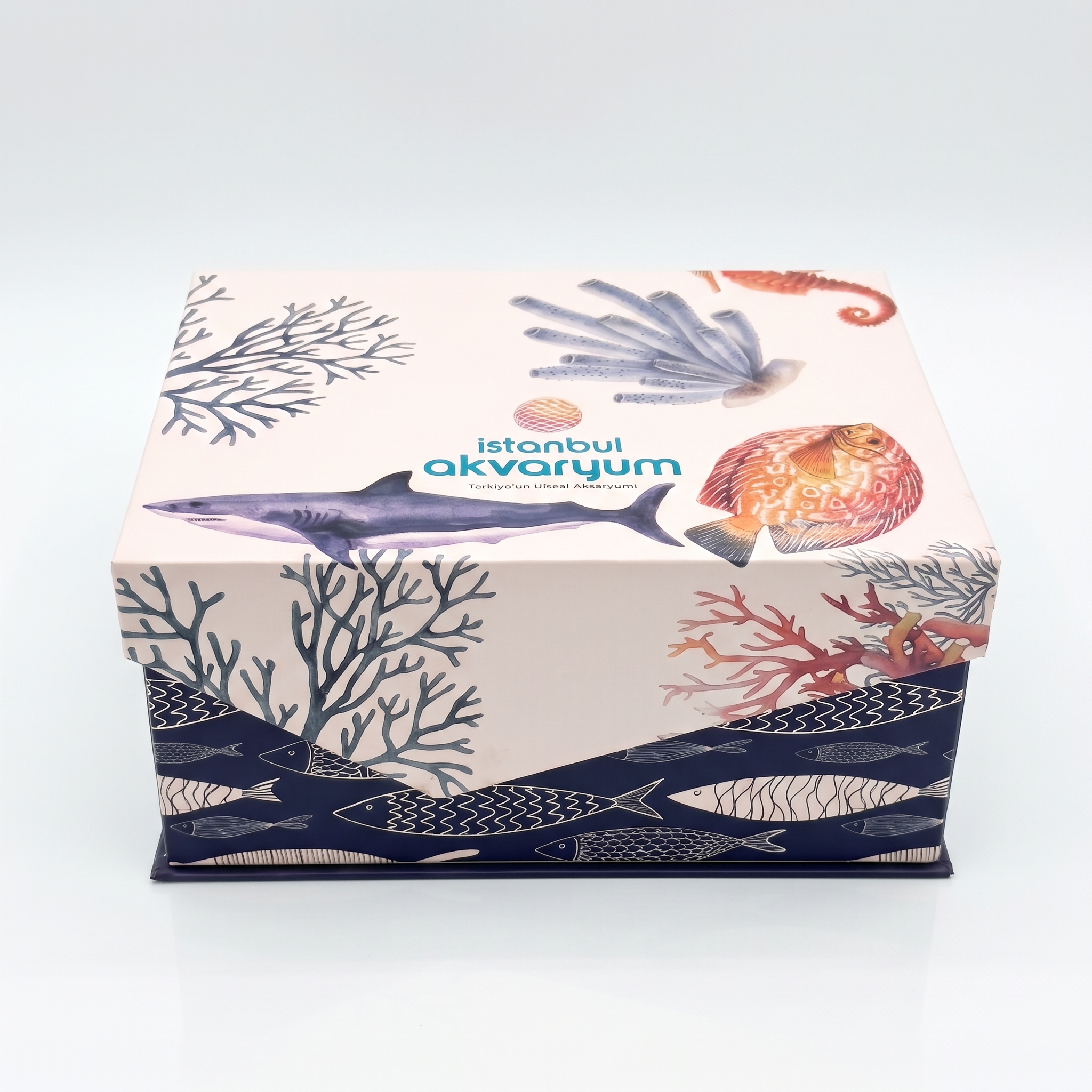 Özel Tasarım 4'lü Hediyelik Set (Kutulu) Denizatı