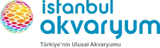 İstanbul Akvaryum Logo