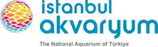 İstanbul Aquarium Logo